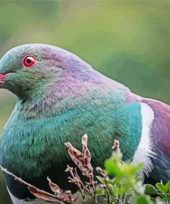 Kereru Head Diamond Paintings