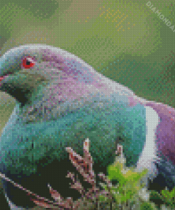 Kereru Head Diamond Paintings