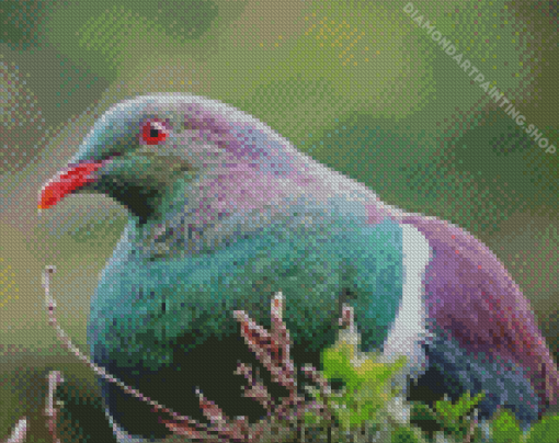 Kereru Head Diamond Paintings