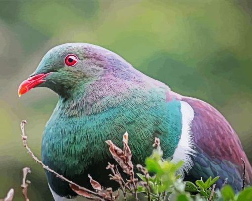 Kereru Head Diamond Paintings