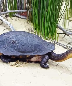 Long Neck Turtle Diamond Paintings