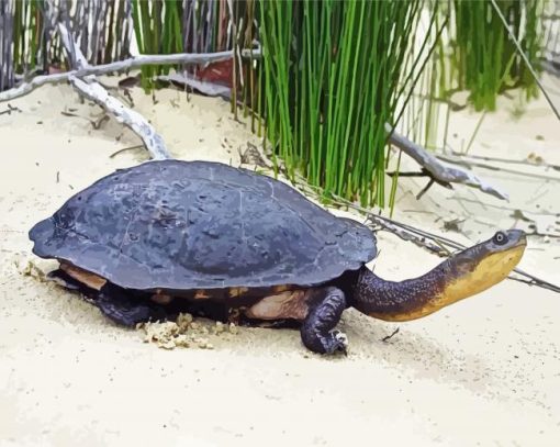 Long Neck Turtle Diamond Paintings