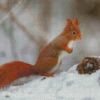 Squirrels Rodents Snow Diamond Paintings