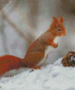 Squirrels Rodents Snow Diamond Paintings