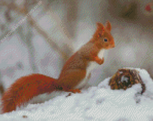 Squirrels Rodents Snow Diamond Paintings