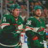 Minnesota Wild Diamond Paintings