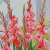 Pink Gladioli Diamond Paintings