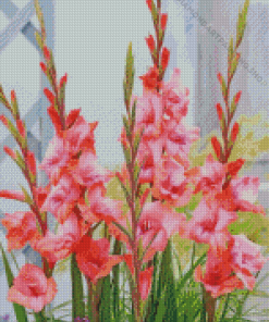 Pink Gladioli Diamond Paintings