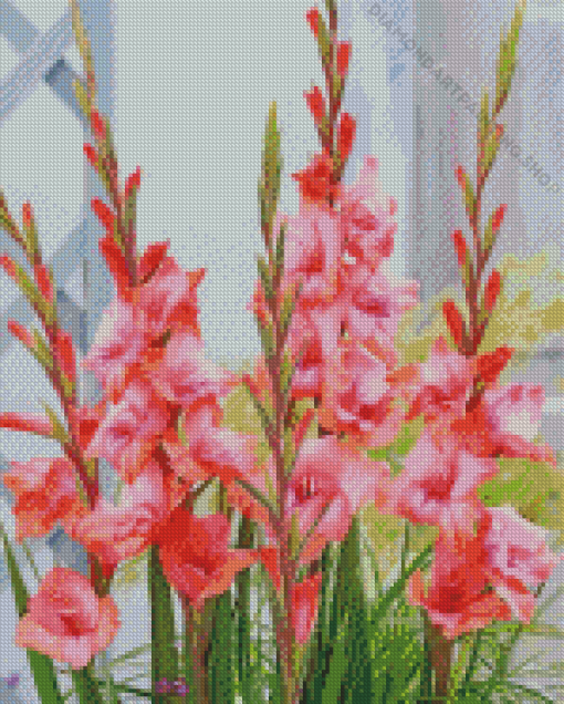 Pink Gladioli Diamond Paintings