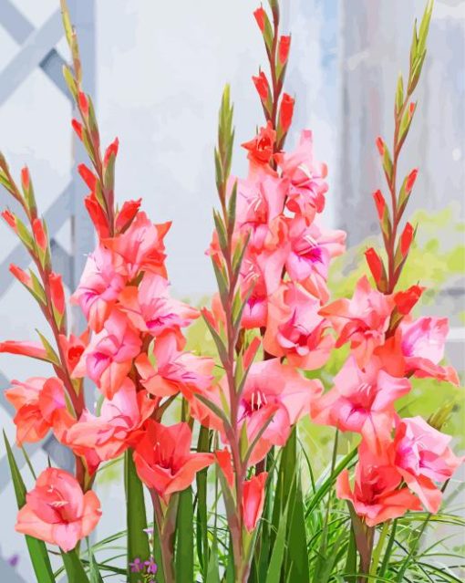 Pink Gladioli Diamond Paintings