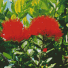 Pohutukawa Flower Diamond Paintings