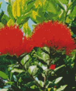 Pohutukawa Flower Diamond Paintings