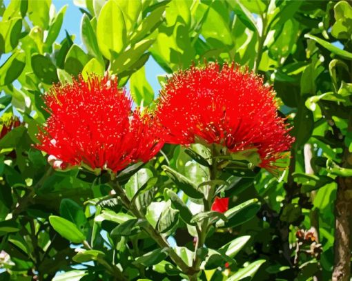 Pohutukawa Flower Diamond Paintings