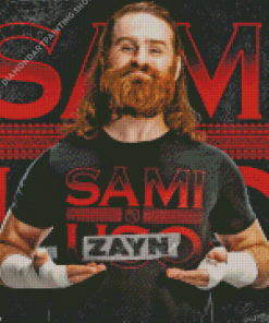 Sami Zayn Diamond Paintings