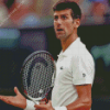 Novak Djokovic Diamond Paintings