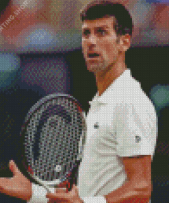 Novak Djokovic Diamond Paintings