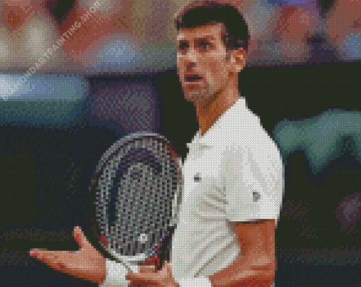 Novak Djokovic Diamond Paintings