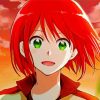 Shirayuki Anime Diamond Paintings