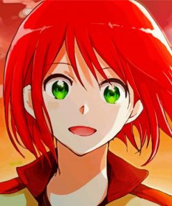 Shirayuki Anime Diamond Paintings