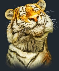 Smiling Tiger Animal Diamond Paintings