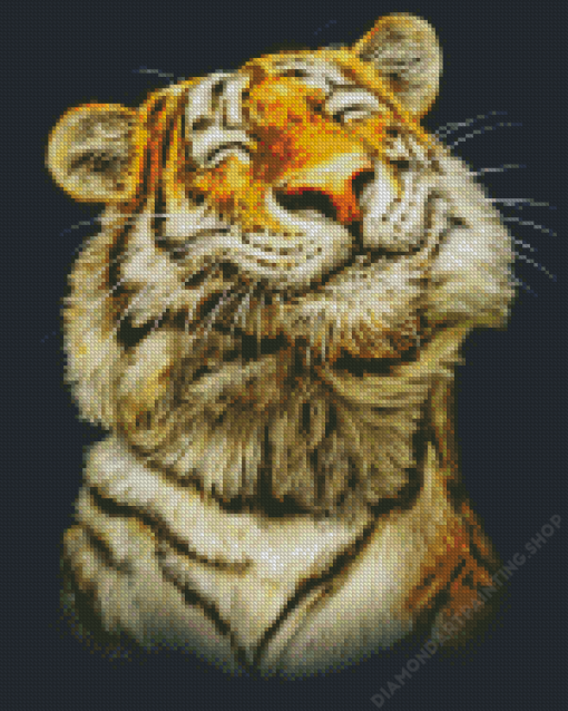 Smiling Tiger Animal Diamond Paintings