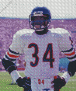 Walter Payton Diamond Paintings