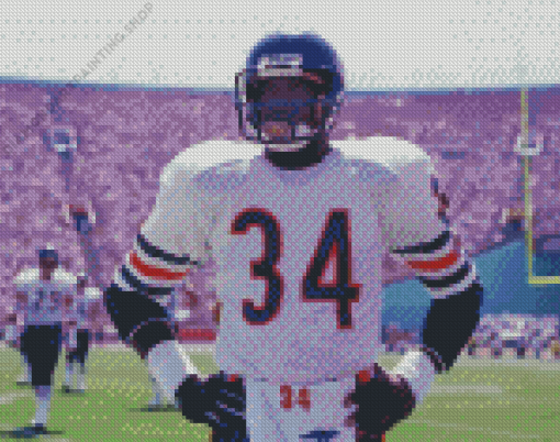 Walter Payton Diamond Paintings