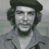 Young Che Guevara Diamond Paintings