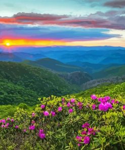 Blue Ridge Mountains Diamond Paintings