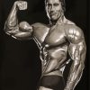 Arnold Schwarzenegger Diamond Paintings