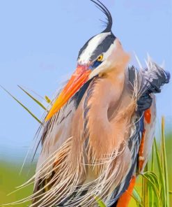 Blue Heron Bird Diamond Paintings