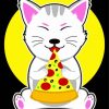 Cat Eating Pizza Diamond Paintings