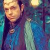 Elrond Character Diamond Paintings