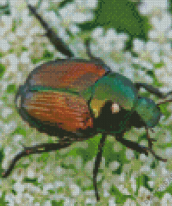 Japanese Beetles Diamond Paintings