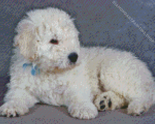 Komondor Puppy Diamond Paintings