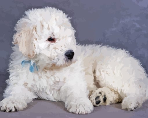 Komondor Puppy Diamond Paintings