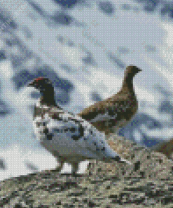 Ptarmigan Birds Diamond Paintings