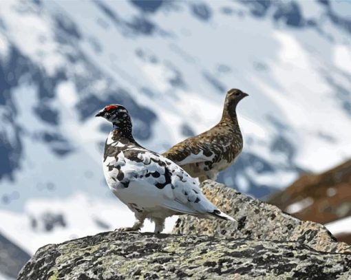 Ptarmigan Birds Diamond Paintings