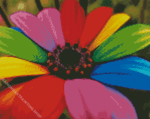 Colorful Daisy Diamond Paintings