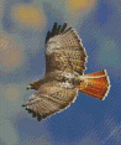 Red Tailed Hawk Diamond Paintings