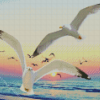 Seagulls At Sunset Diamond Paintings