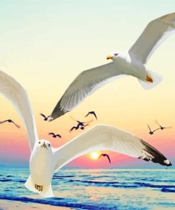 Seagulls At Sunset Diamond Paintings