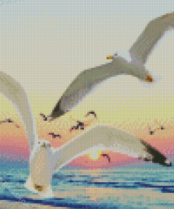 Seagulls At Sunset Diamond Paintings