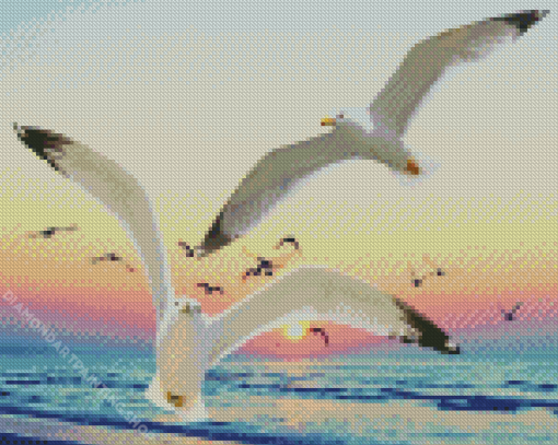 Seagulls At Sunset Diamond Paintings