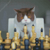 Cats Playing Chess Diamond Paintings