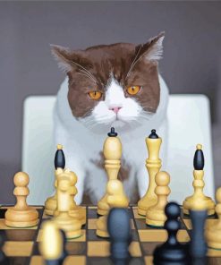 Cats Playing Chess Diamond Paintings