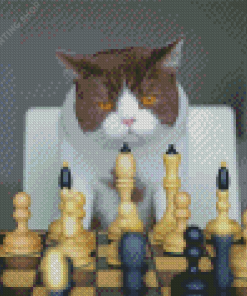 Cats Playing Chess Diamond Paintings