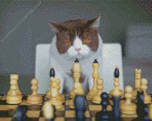 Cats Playing Chess Diamond Paintings