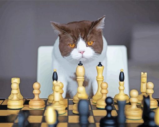 Cats Playing Chess Diamond Paintings