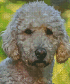 Goldendoodle Puppy Diamond Paintings